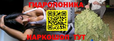 прущие крисы Можга